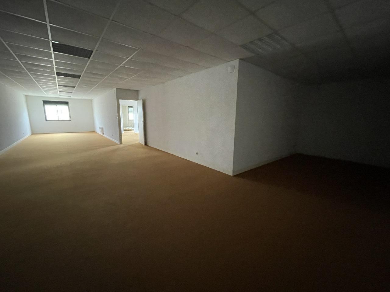 Local d'activité Mauguio 1620m² Location local d'activité Mauguio Hérault OLACT2313439 12